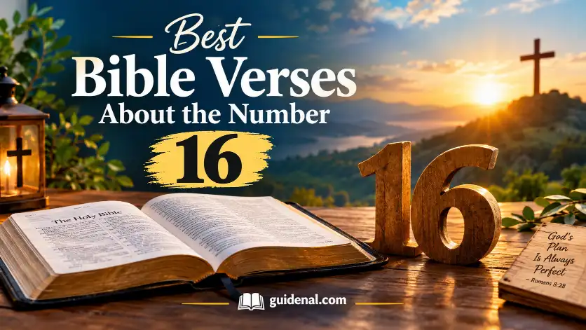 Best Bible Verses About the Number 16