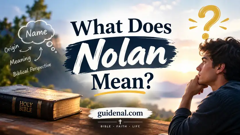 What Does Nolan Mean?