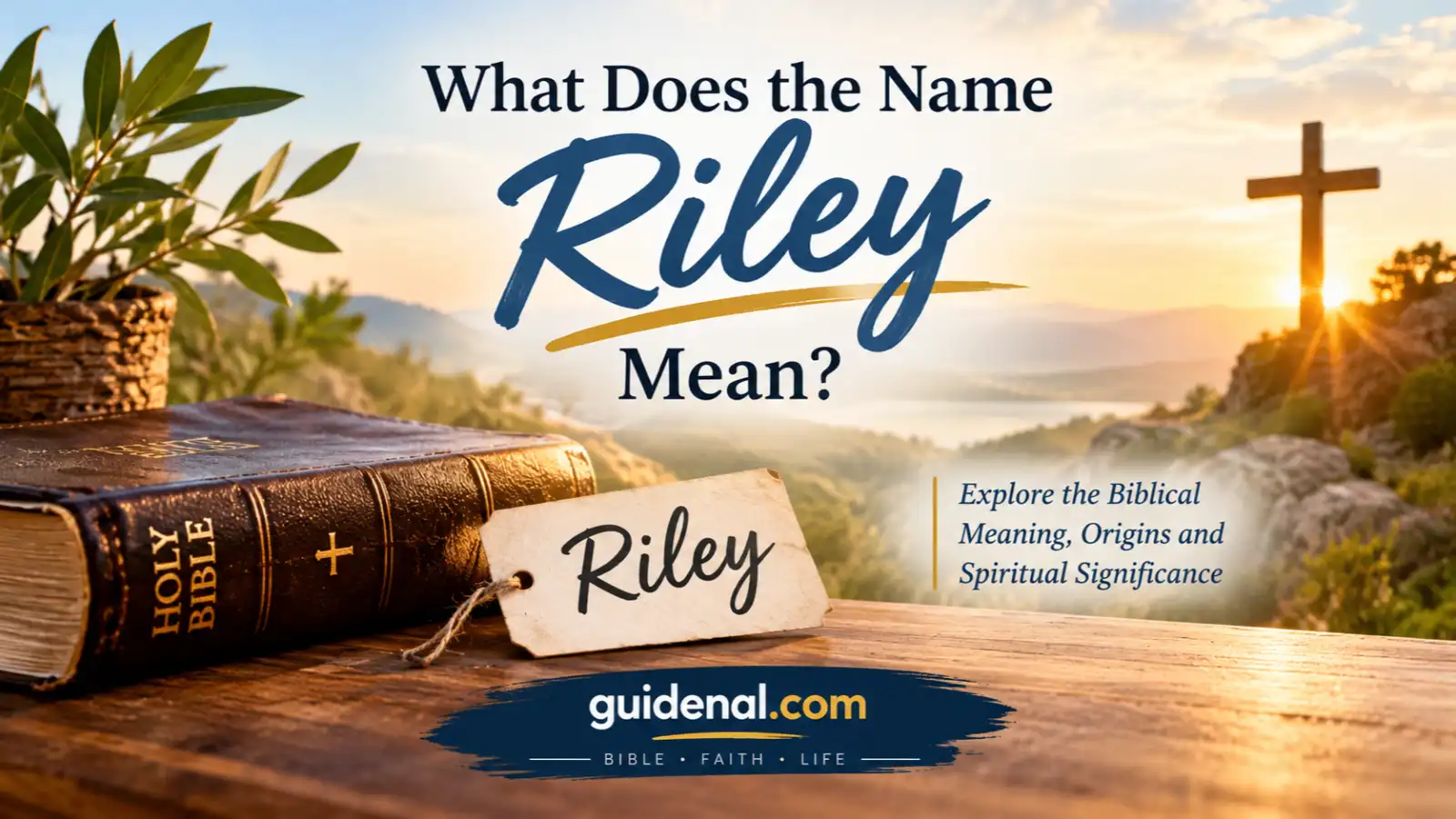 What Does the Name Riley Mean?